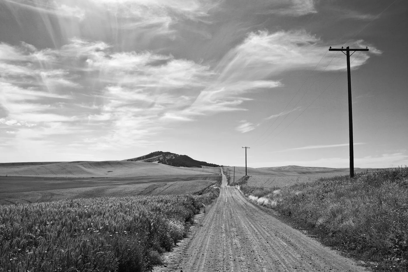 A serene black and white landscape capturing a remote rural road with fields and open skies.