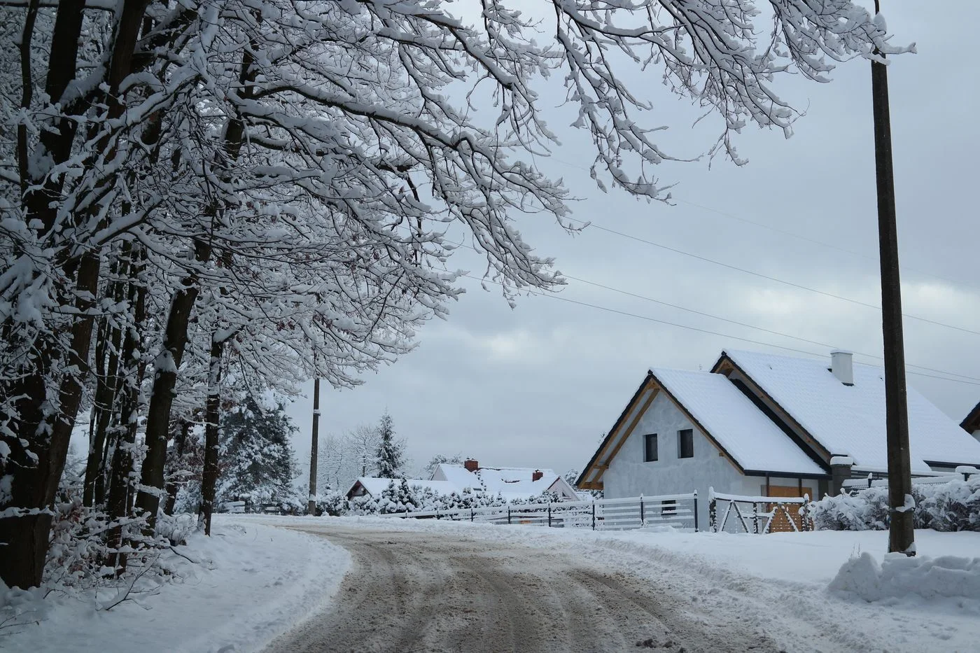 A tranquil winter scene of a snowy rural road lined with trees and snow-covered houses.