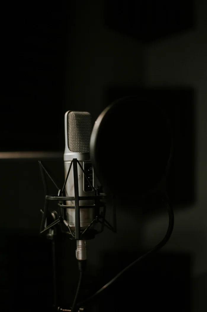 Studio microphone with pop filter in a dimly lit recording setup.