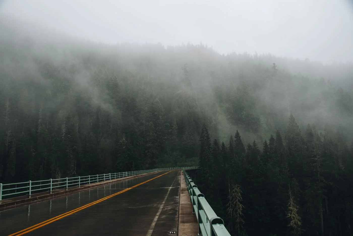 A serene road cutting through a misty forest in Washington, USA, capturing the essence of the Pacific Northwest.