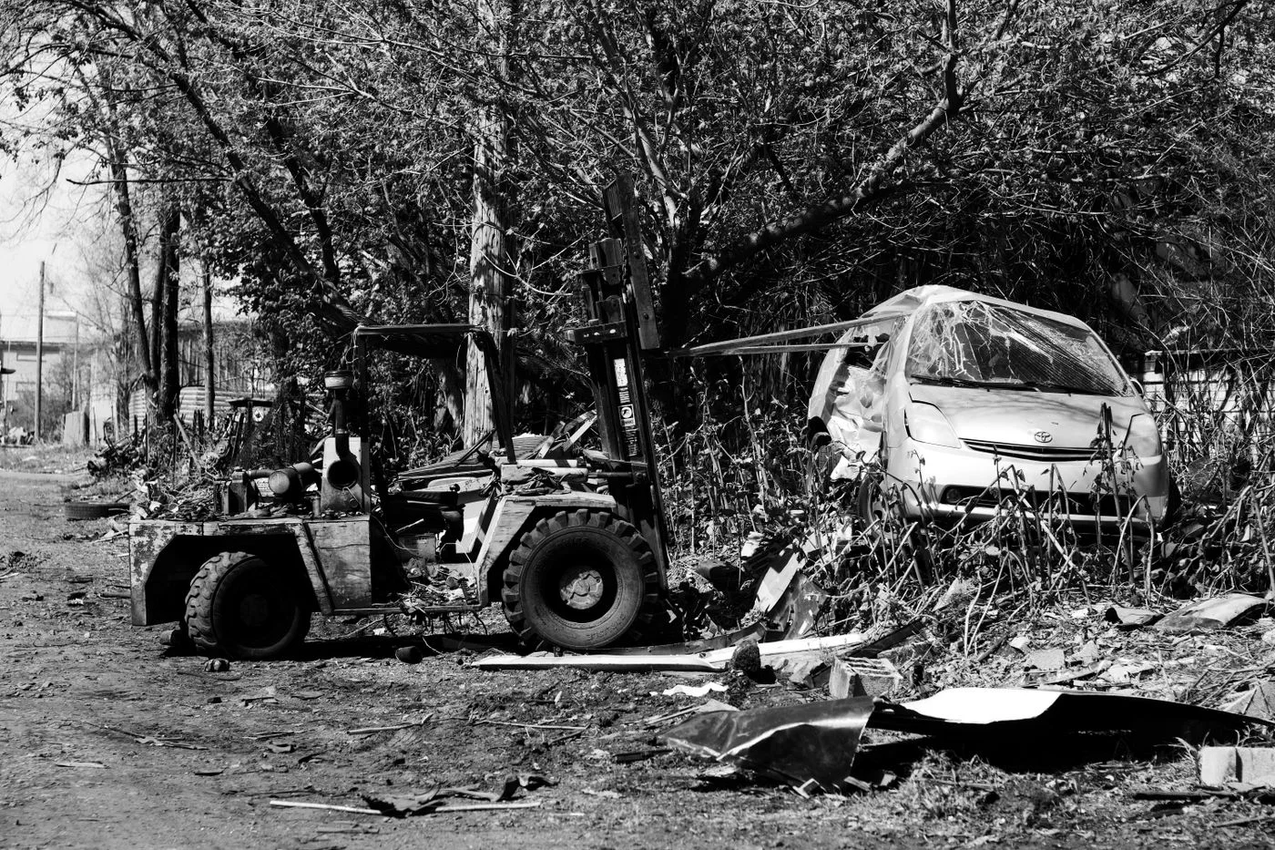 A black and white image of abandoned vehicles amidst rural decay and overgrown trees.