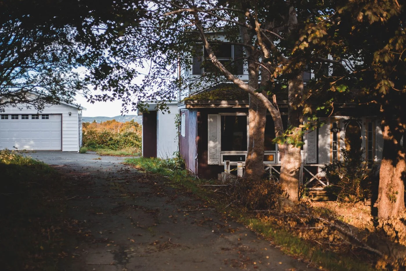 An eerie abandoned house with overgrown trees and a driveway in autumn.